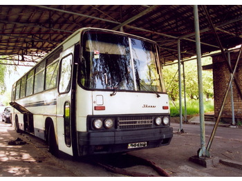 IKARUS 250.59 - سياحية حافلة