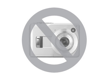 Genie GS2046 - رافعات مقصية