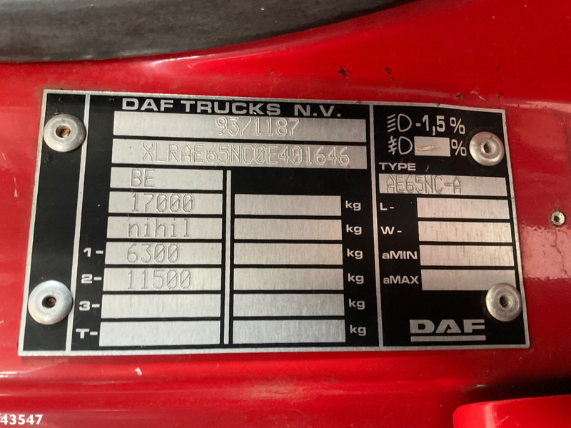 شاحنة ذات الخطاف DAF FA 65.210 ATI Full Steel Just 133.242 km!: صور 13