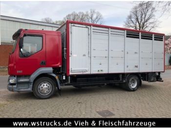 شاحنة نقل المواشي شاحنة DAF LF 55 Einstock Köpf: صور 1