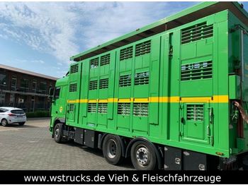 شاحنة نقل المواشي شاحنة DAF XF 105/460 SC Menke 3 Stock Hubdach: صور 1