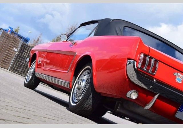 سيارة FORD Mustang Cabriolet: صور 4