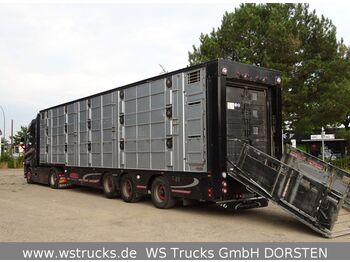 شاحنة نقل المواشي نصف مقطورة Finkl 3 Stock  Vollausstattung Hubdach: صور 1