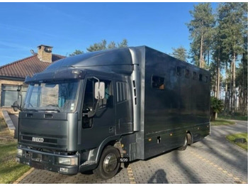 شاحنة نقل خيل IVECO 100E18 Horse transporter: صور 1