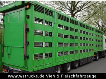 شاحنة نقل المواشي نصف مقطورة KABA 5 Stock Lenk Lift Typ2 Lüfter Dusche Tränk: صور 1