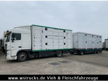 شاحنة نقل المواشي مقطورة Menke 2 Stock Ausahrbares Dach Vollalu: صور 1