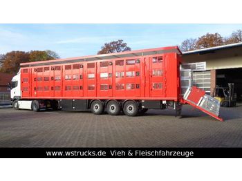 جديد شاحنة نقل المواشي نصف مقطورة Menke 3 Stock Hubdach Liftachse "NEU"  Vollalu: صور 1