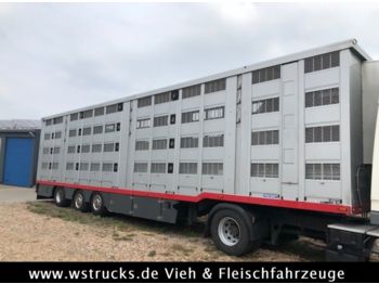 شاحنة نقل المواشي نصف مقطورة Menke 4 Stock Lenk Lift Typ2 Lüfter Dusche Tränk: صور 1