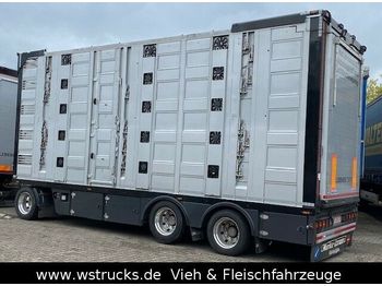 شاحنة نقل المواشي مقطورة Menke 5 Stock Unfall  Hubdach  Vollalu Typ 2: صور 1