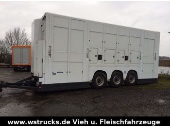 شاحنة نقل المواشي مقطورة Menke Tridem Doppelstock: صور 1