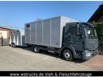 شاحنة نقل المواشي شاحنة لنقل الحيوانات Mercedes-Benz 821L" Neu" WST Edition" Menke Einstock Vollalu: صور 1