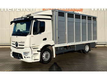 شاحنة نقل المواشي شاحنة Mercedes-Benz Actros 1830 Horse transporter: صور 1