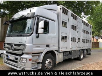 شاحنة نقل المواشي شاحنة Mercedes-Benz Actros  2544 Menke 3 Stock Vollalu: صور 1