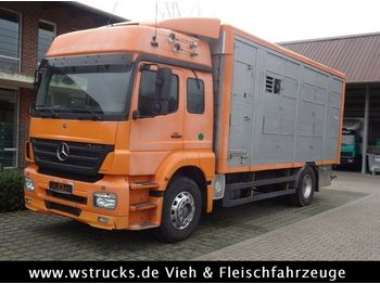 شاحنة نقل المواشي شاحنة Mercedes-Benz  Axor 1833 2 Stock Michieletto: صور 1