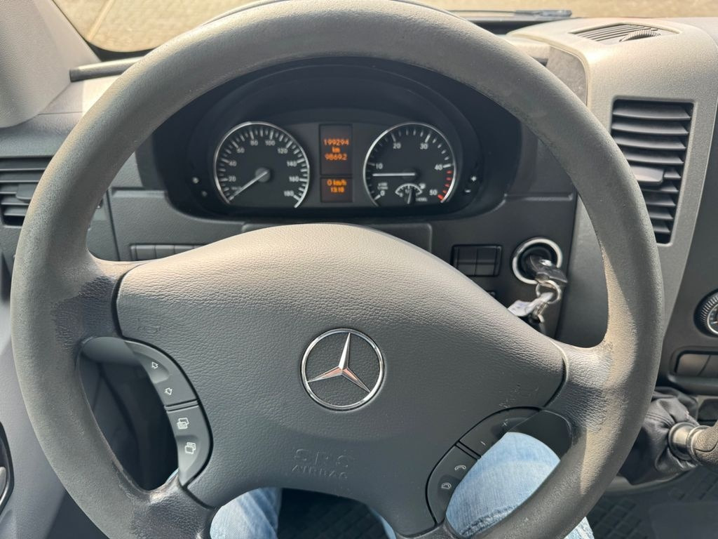 فان Mercedes-Benz Sprinter 319 CDI Van: صور 13