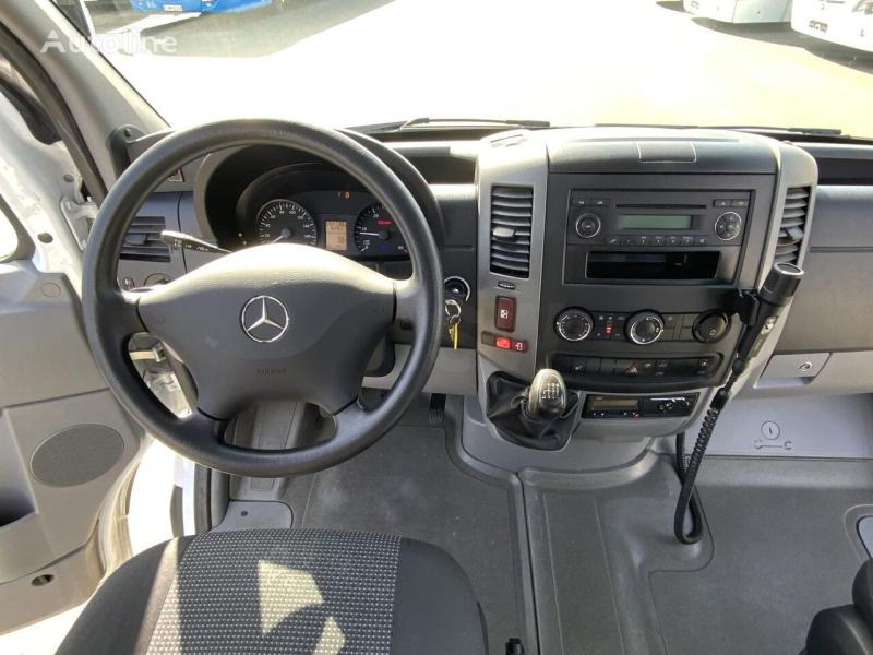 حافلة صغيرة, ميكروباص Mercedes Sprinter 516 CDI: صور 19