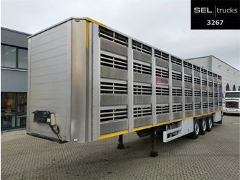 شاحنة نقل المواشي نصف مقطورة Pezzaioli CIMC / SR03 / 4 Stock / Typ 2 / Ferkeltransporte: صور 1