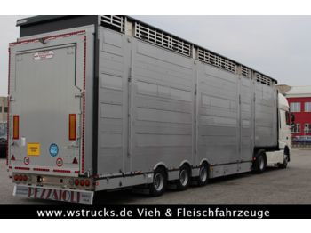 جديد شاحنة نقل المواشي نصف مقطورة Pezzaioli SBA31-SR  3 Stock "Neu" Vermietung: صور 1