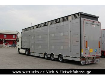 شاحنة نقل المواشي نصف مقطورة Pezzaioli SBA31-SR  3 Stock  Vermietung: صور 1