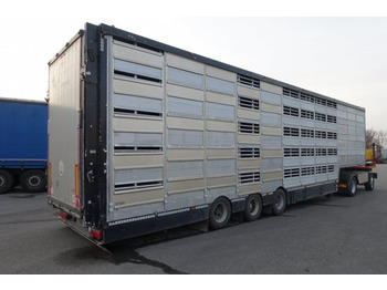 شاحنة نقل المواشي نصف مقطورة Pezzaioli SBA32/G , 5 Stock , Viehtransporter  , Tränkeranlage,: صور 4