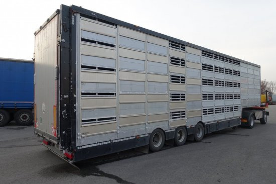 شاحنة نقل المواشي نصف مقطورة Pezzaioli SBA32/G , 5 Stock , Viehtransporter  , Tränkeranlage,: صور 4