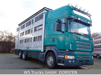 شاحنة نقل المواشي شاحنة Scania R 440 Topline KABA 3 Stock Hubdach: صور 1