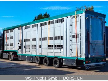 Menke Unfall 3/2  Stock  Lüfter Tränk Großvieh  - شاحنة نقل المواشي نصف مقطورة