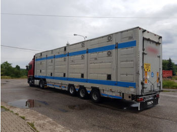 PEZZAIOLI  - شاحنة نقل المواشي نصف مقطورة