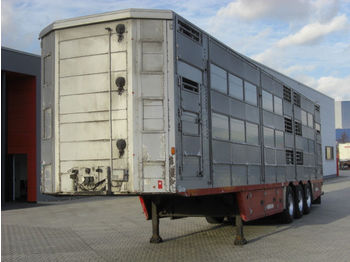 Pezzaioli SBA63U / 3 Achsen / BPW-Achsen / 3 Stock  - شاحنة نقل المواشي نصف مقطورة