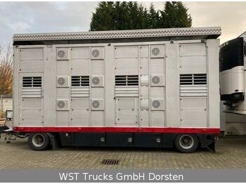شاحنة نقل المواشي مقطورة Stehmann3 Stock Ausahrbares Dach  Vollalu: صور 1