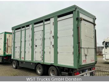 KABA 3 Stock  Hubdach  Vollalu 7,80 m  - شاحنة نقل المواشي مقطورة