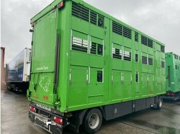 KABA 3 Stock  Vollalu 7,30m  - شاحنة نقل المواشي مقطورة