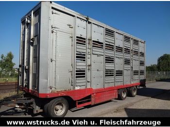 Westrick 3 Stock  - شاحنة نقل المواشي مقطورة