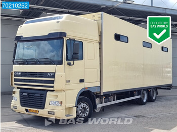 DAF XF95.380 6X2 NL-Truck Pferdetransporter Horses Euro 3 - شاحنة نقل خيل