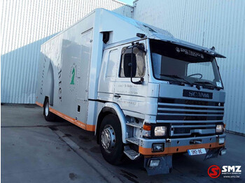 Scania P 82 - شاحنة نقل خيل