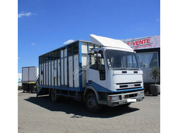شاحنة نقل المواشي شاحنة IVECO EuroCargo 80E
