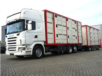 شاحنة نقل المواشي شاحنة Scania R480 6X2/ 3-Stock Menke / Ledersitze