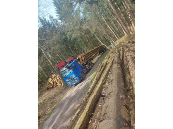 شاحنة قطع الأشجار VOLVO FH16 700