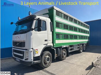 شاحنة نقل المواشي شاحنة Volvo FH13 420 8x4, 3 Layers Animals Livestock Transport: صور 1