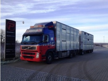 شاحنة نقل المواشي شاحنة Volvo FM12 420 Animal transport with henger - Euro 3: صور 1