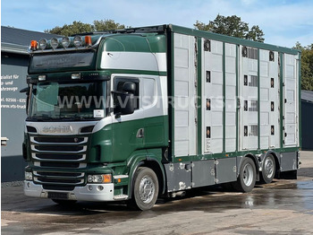 Scania R500 V8 6x2 Euro 5 4.Stock Menke Hubdach  - شاحنة نقل المواشي شاحنة: صور 1