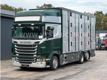 Scania R500 V8 6x2 Euro 5 3.Stock Menke Hubdach,Tränke  - شاحنة نقل المواشي شاحنة: صور 1