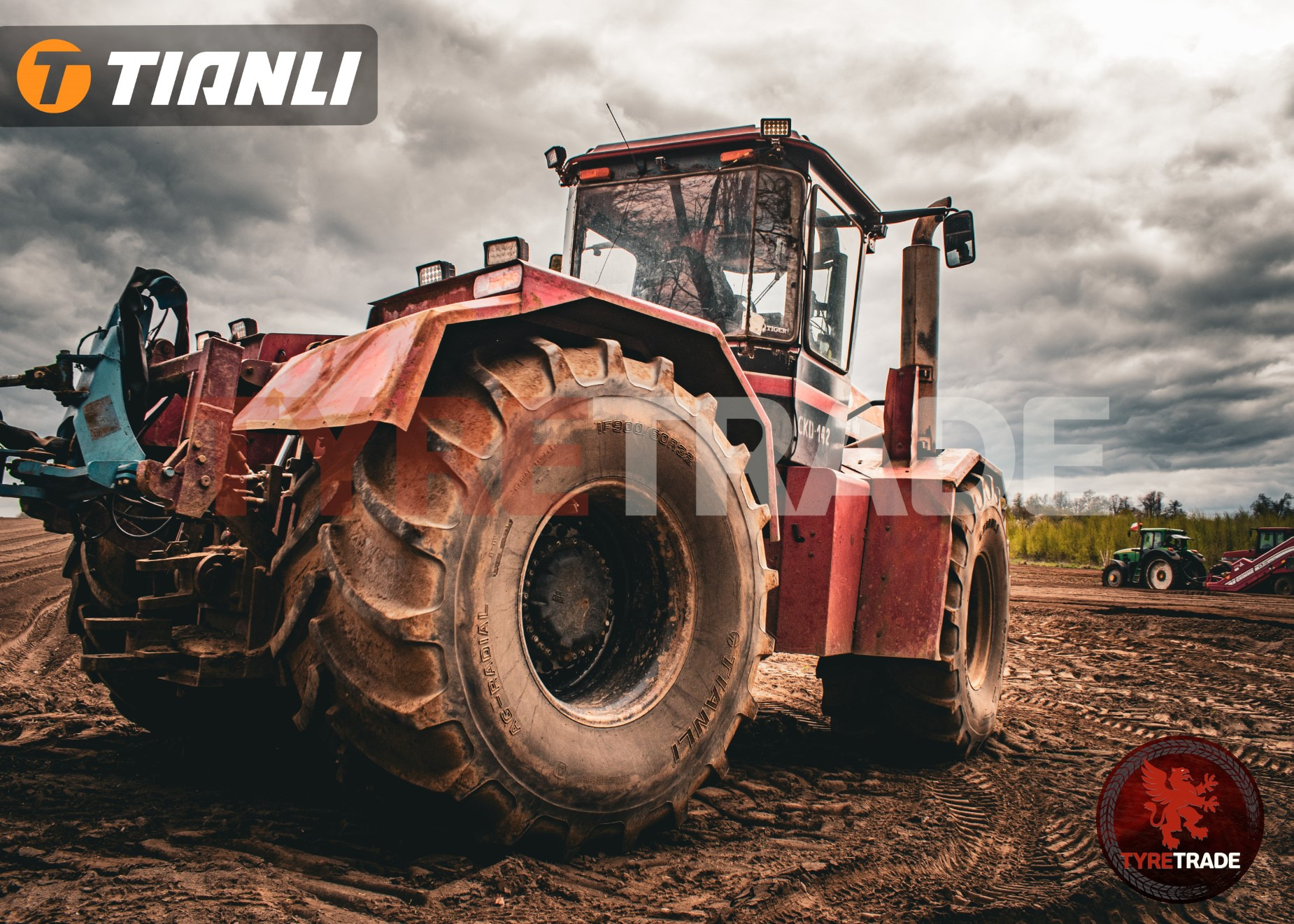 Tyre Trade Michał Nibelski undefined: صور 6