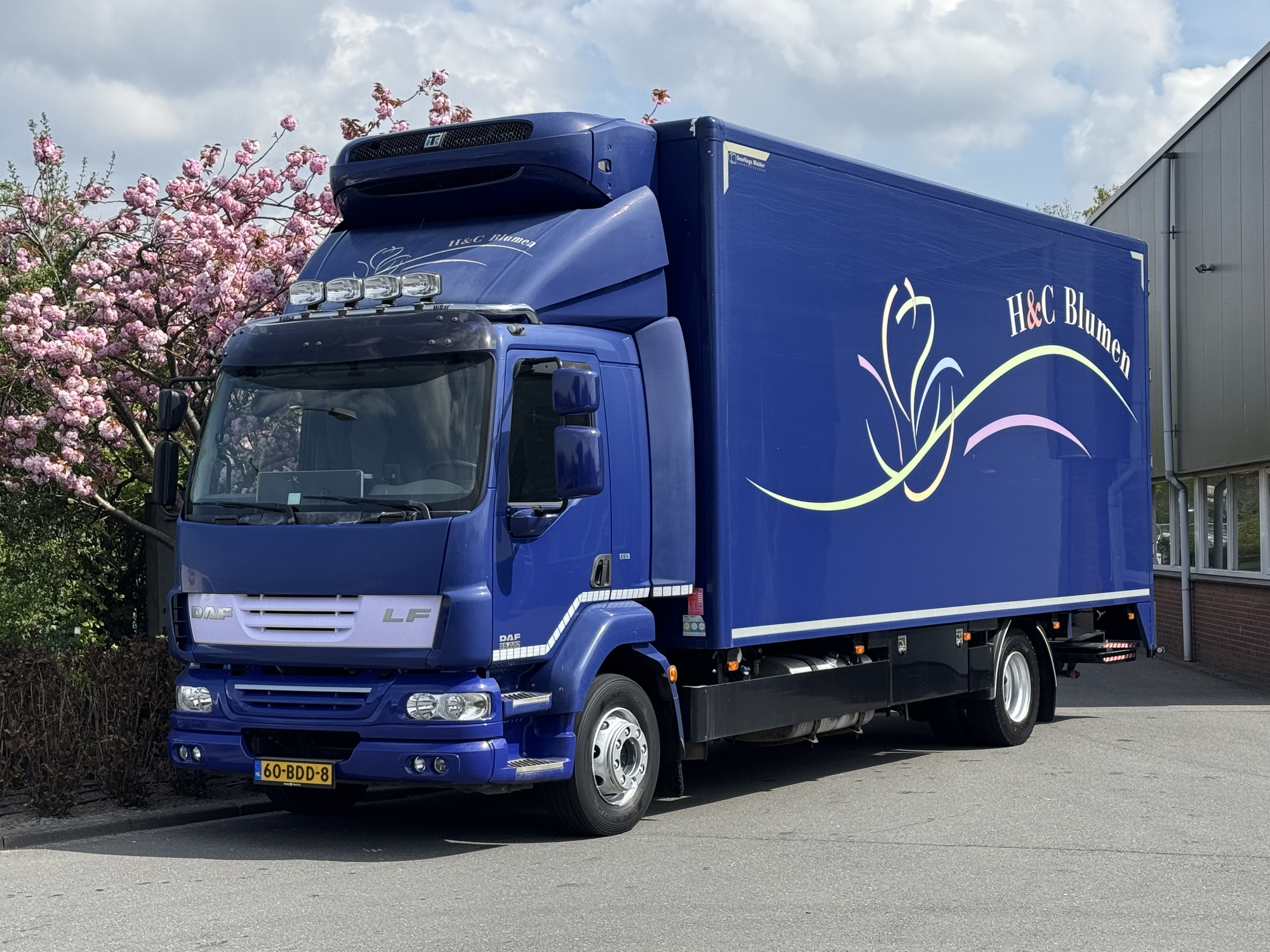 Kulk Trucks - الشاحنات الصغيرة MERCEDES-BENZ Vario - سنة: 2006 undefined: صور 20