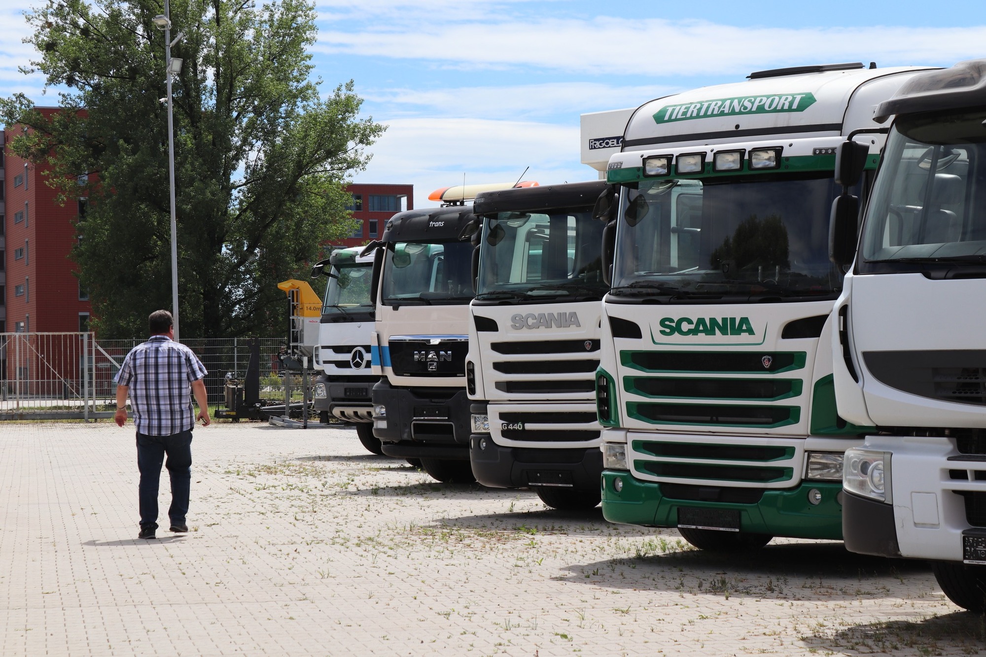 Donau Trucks GmbH undefined: صور 3