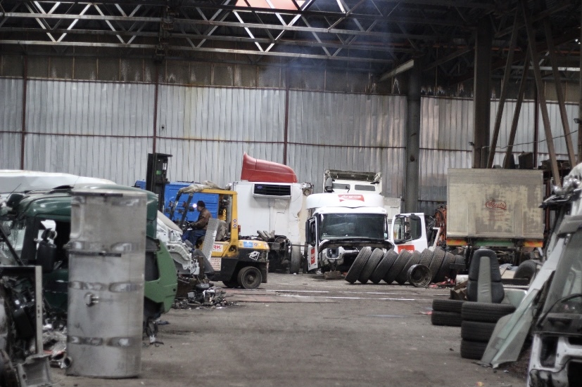 EGDA truckparts - قطع الغيار IVECO - سنة: 2021 undefined: صور 8