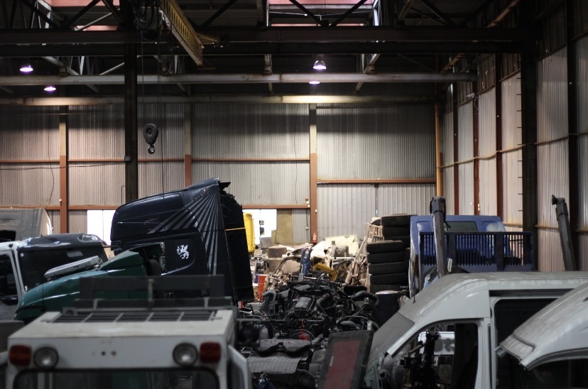 EGDA truckparts - قطع الغيار IVECO - سنة: 2021 undefined: صور 7