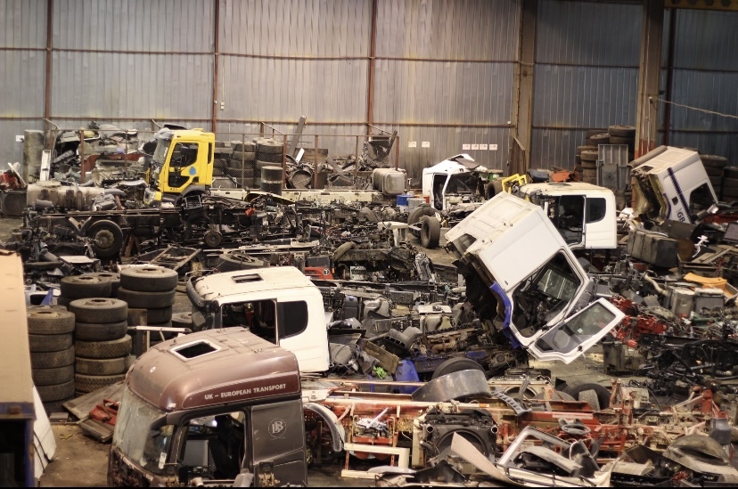 EGDA truckparts - قطع الغيار IVECO - سنة: 2021 undefined: صور 11