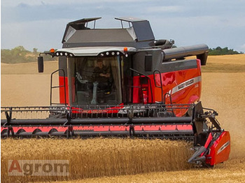 حصادة شاملة MASSEY FERGUSON