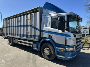 بصندوق مغلق شاحنة SCANIA P 310